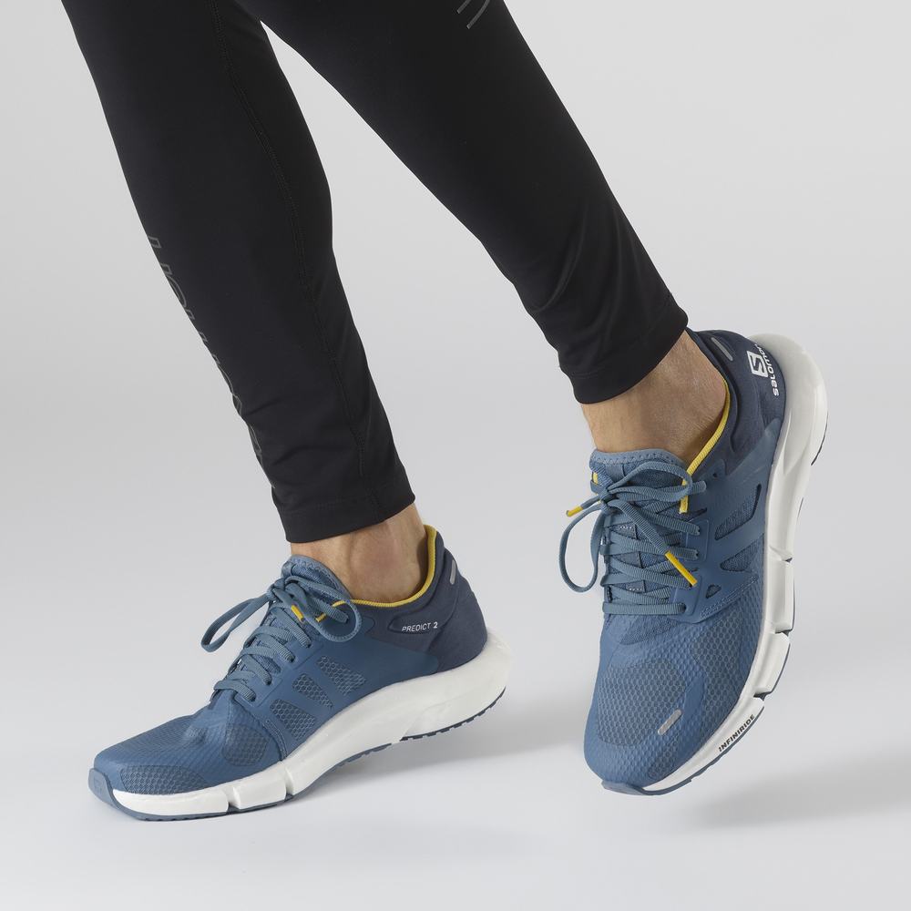 Men's Salomon Predict 2 Running Shoes Blue | NZ-4738195