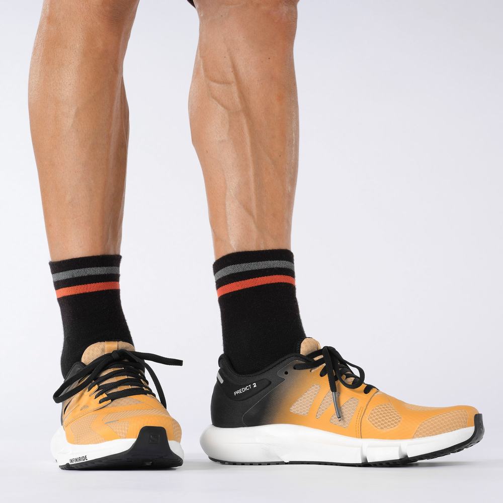 Men's Salomon Predict 2 Running Shoes Orange/Black/Brown | NZ-5297483