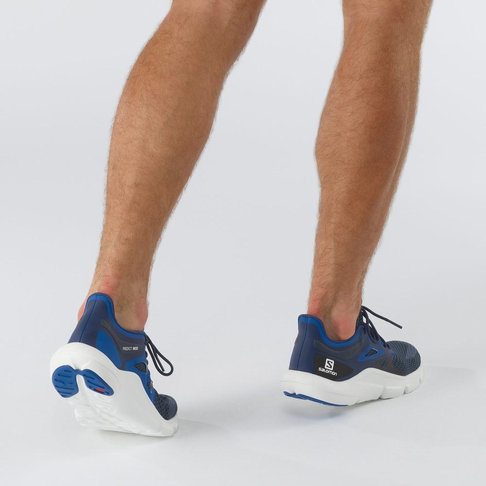 Men's Salomon Predict Mod Running Shoes White | NZ-6039485