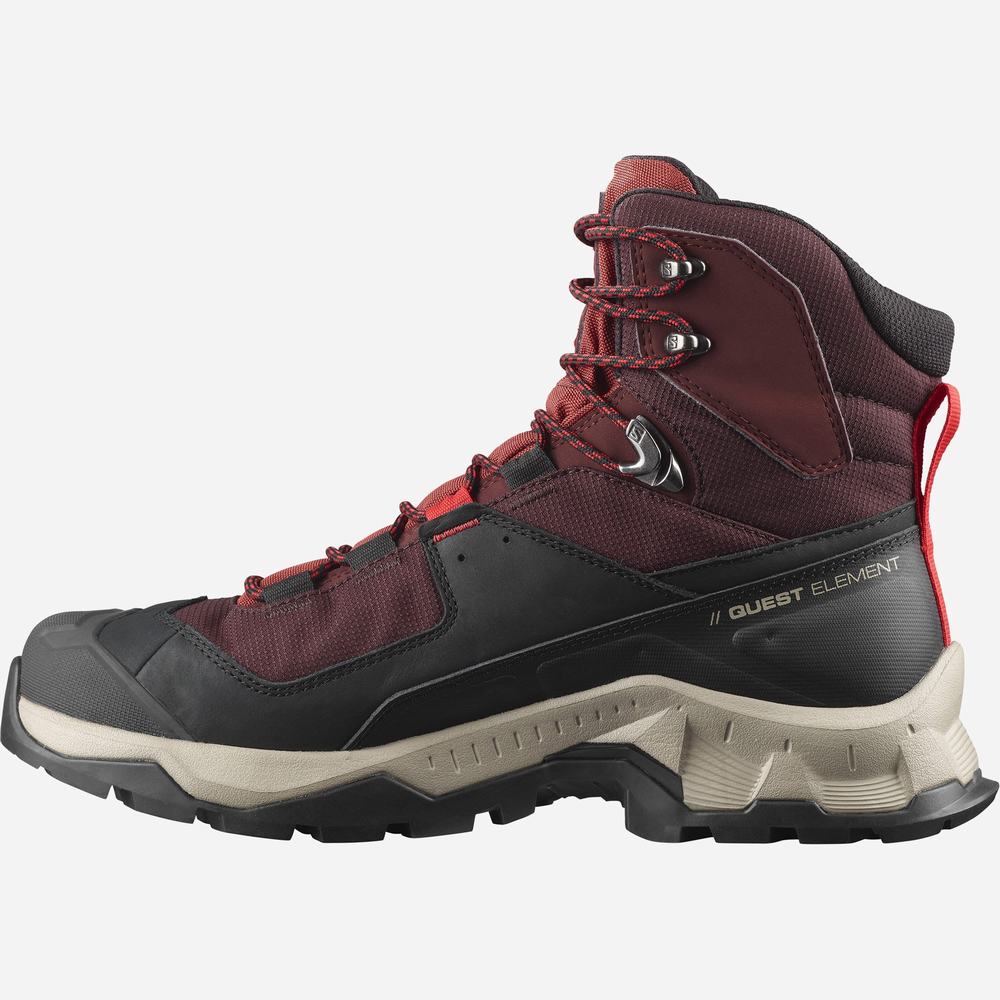 Men's Salomon Quest Element Gore-tex Hiking Boots Chocolate Purple/Brown | NZ-7361025