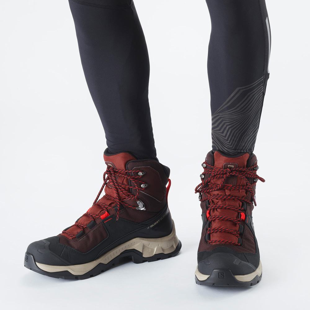 Men's Salomon Quest Element Gore-tex Hiking Boots Chocolate Purple/Brown | NZ-7361025