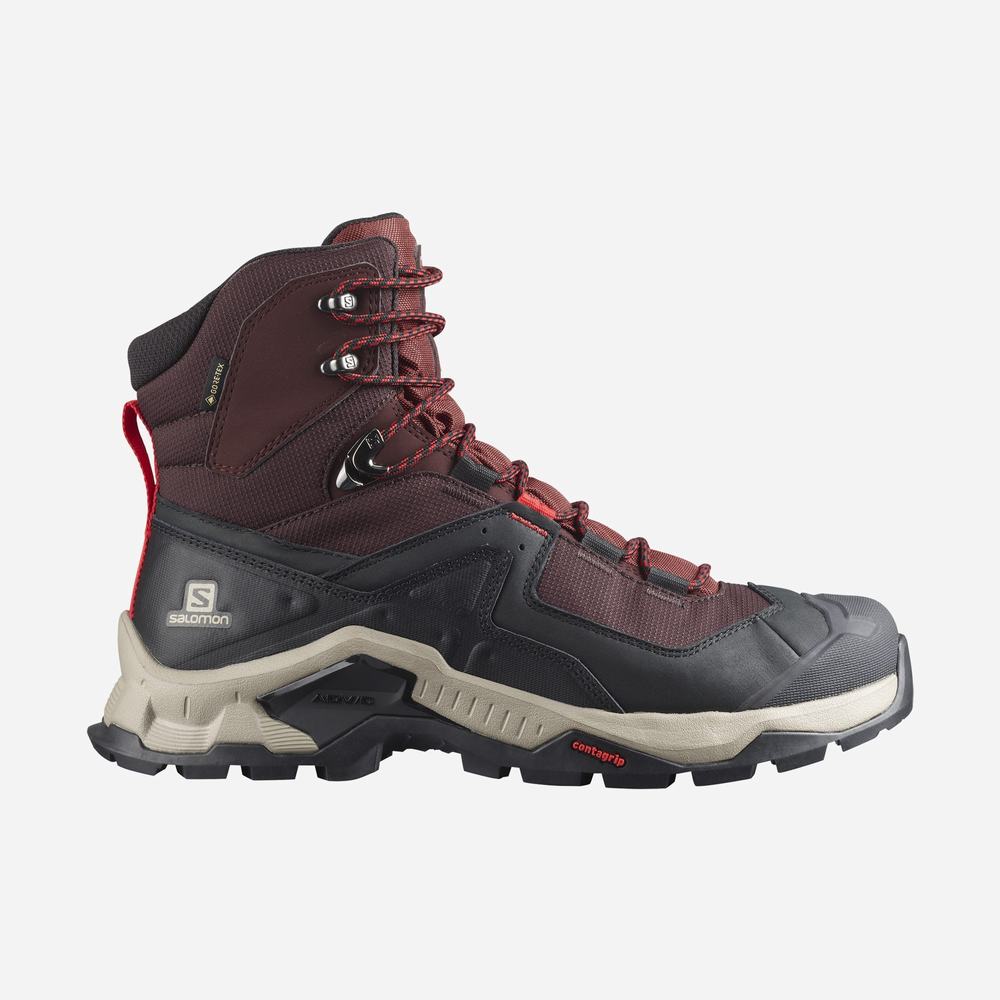 Men\'s Salomon Quest Element Gore-tex Hiking Boots Chocolate Purple/Brown | NZ-7361025