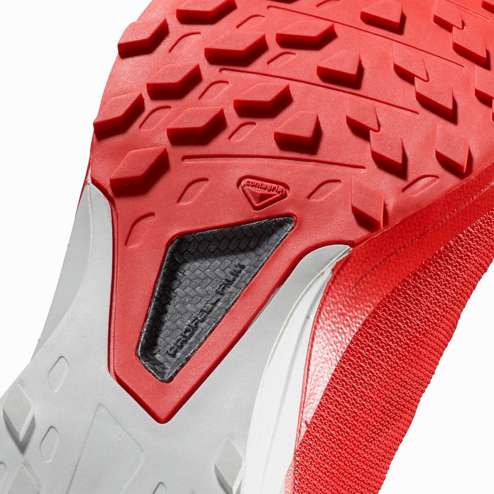 Men's Salomon S/Lab Sense 8 Trail Running Shoes Red/white | NZ-6248501