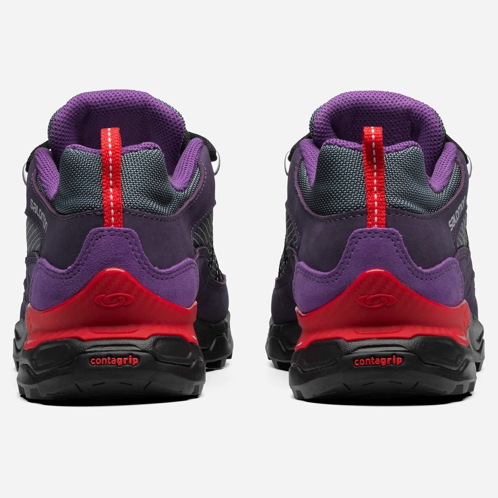 Men's Salomon Shelter Low Leather Sneakers deep Grey/Purple | NZ-8504196