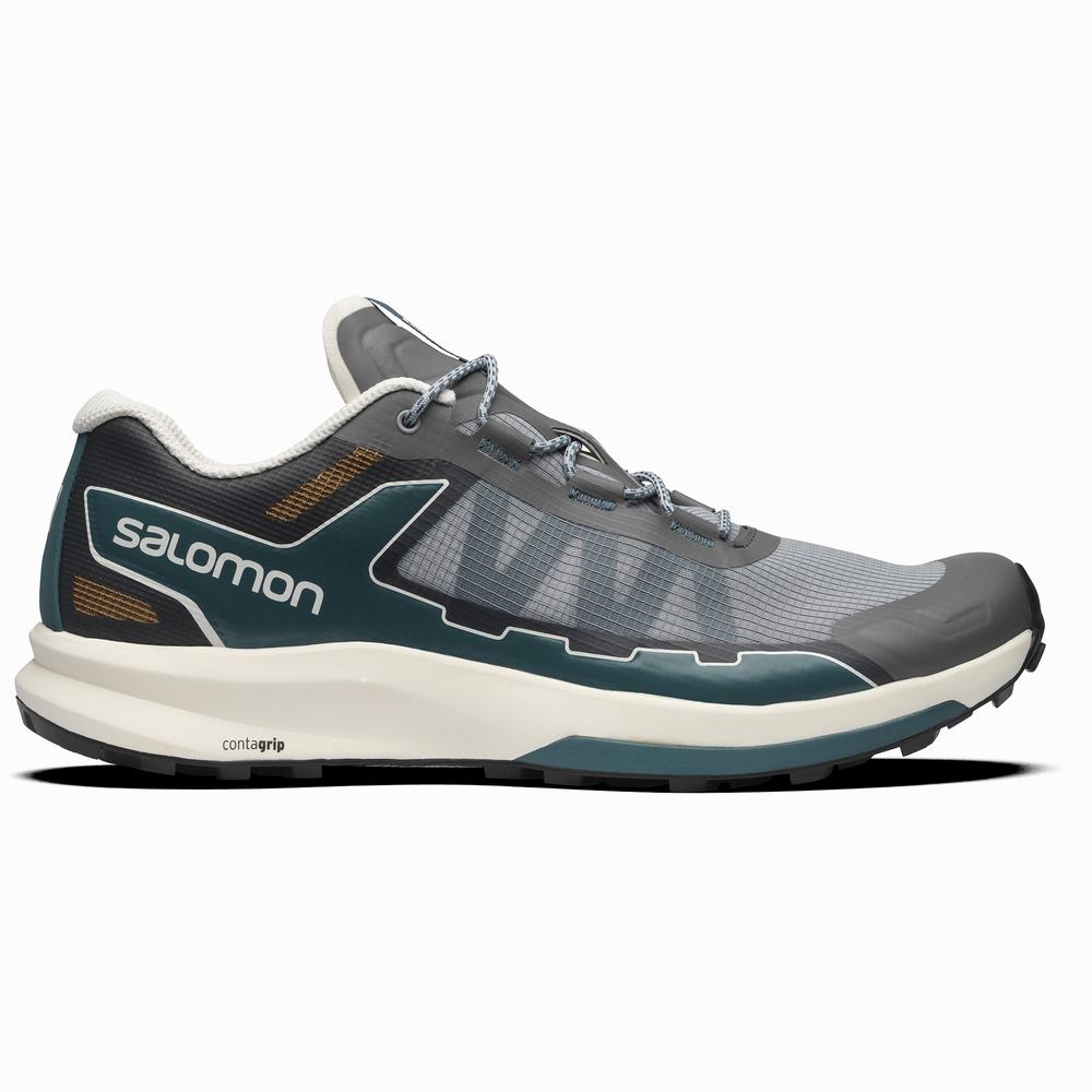 Men\'s Salomon Ultra Raid Sneakers Grey/Blue | NZ-3795081