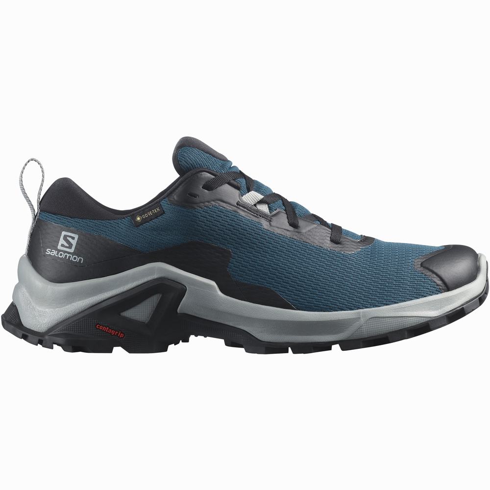 Men\'s Salomon X Reveal 2 Gore-tex Hiking Shoes Blue/Black | NZ-8176532