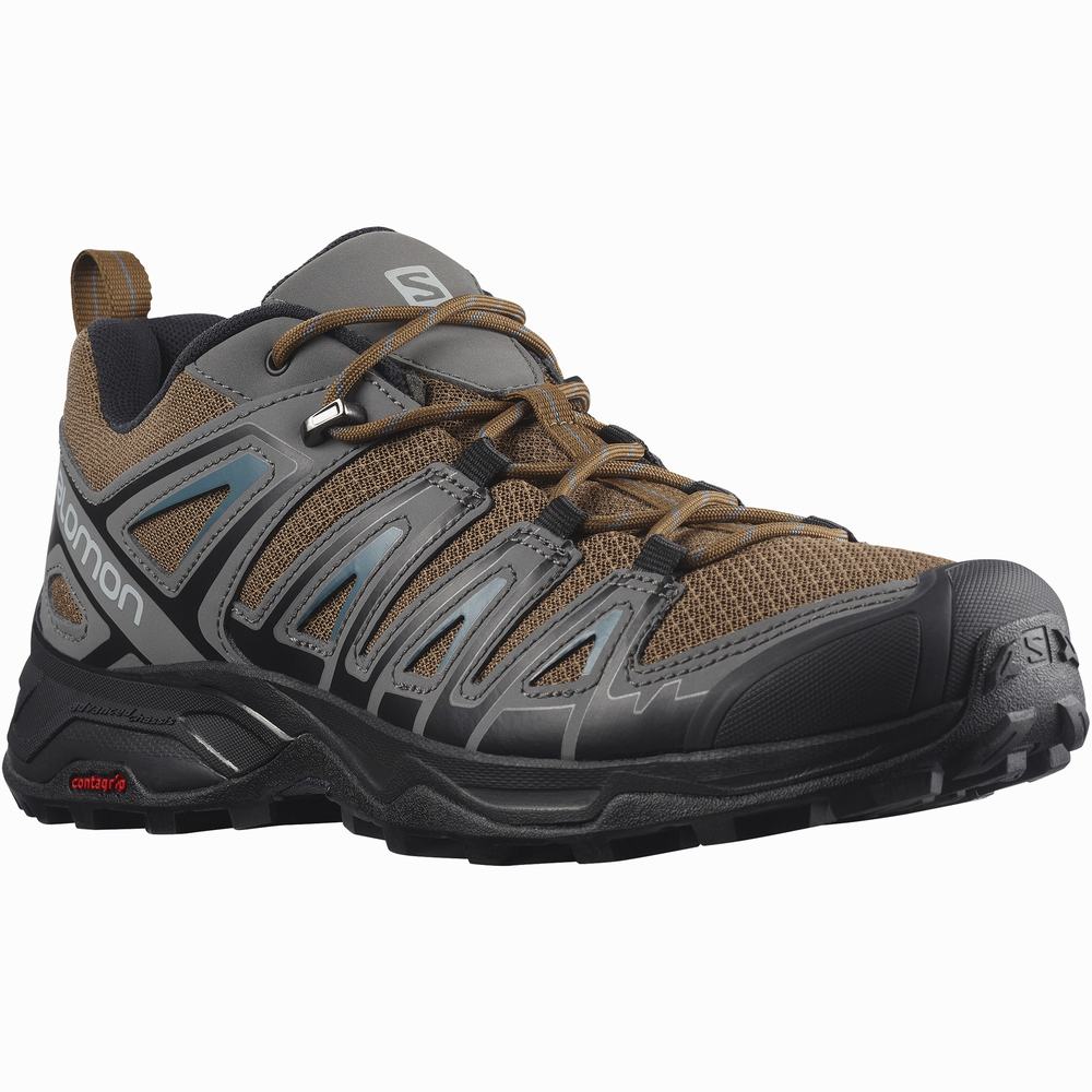 Men's Salomon X Ultra Pioneer Hiking Shoes Brown/Black/Blue | NZ-4592178