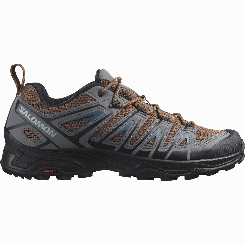 Men\'s Salomon X Ultra Pioneer Hiking Shoes Brown/Black/Blue | NZ-4592178