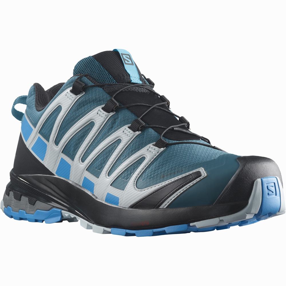 Men's Salomon Xa Pro 3d V8 Gore-tex Hiking Shoes Blue | NZ-4275368