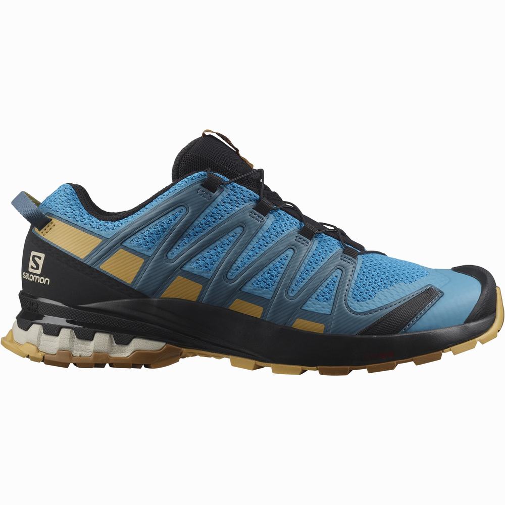 Men\'s Salomon Xa Pro 3d V8 Hiking Shoes Blue/Brown | NZ-5287643