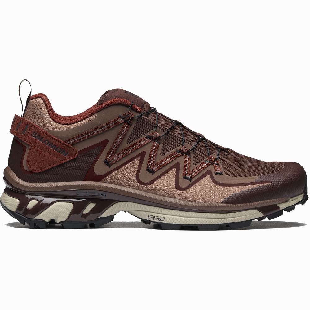 Men\'s Salomon Xt-rush Utility Sneakers Chocolate | NZ-8521364
