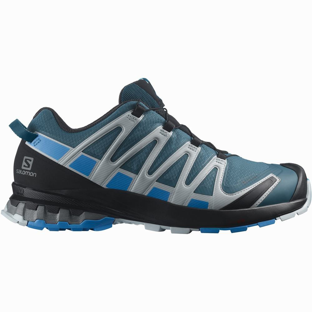 Men's Salomon Xa Pro 3d V8 Gore-tex Hiking Shoes Blue | NZ-4275368